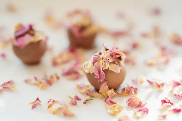 Casino Paris VIP Android/iOS App